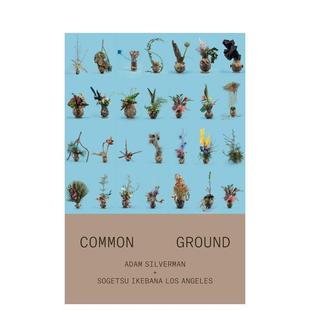 【预售】Adam Silverman: Common Ground,洛杉矶艺术家Adam Silverman：共同点 英文原版图书籍进口正版 艺术