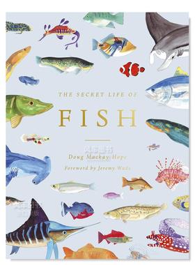 【现货】鱼类的秘密：水中的真相 The Secret Life of Fish: The Astonishing Truth about our Aquatic Cousins 英文儿童绘本 原