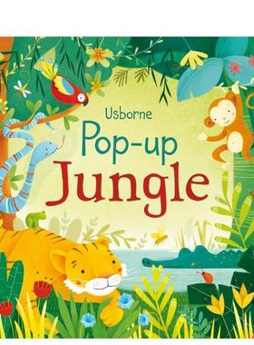 【现货】【立体书】森林故事 Jungle【Pop-Up】英文进口原版儿童图书6-9岁立体书Fiona Watt Alessandra Psacharopulo