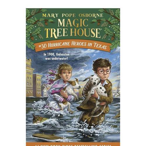 飓风英雄在TE HURRICA