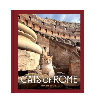 【现货】罗马的猫 Cats of Rome 英文进口原版摄影作品集人文景观Traer Scott外文摄影图书
