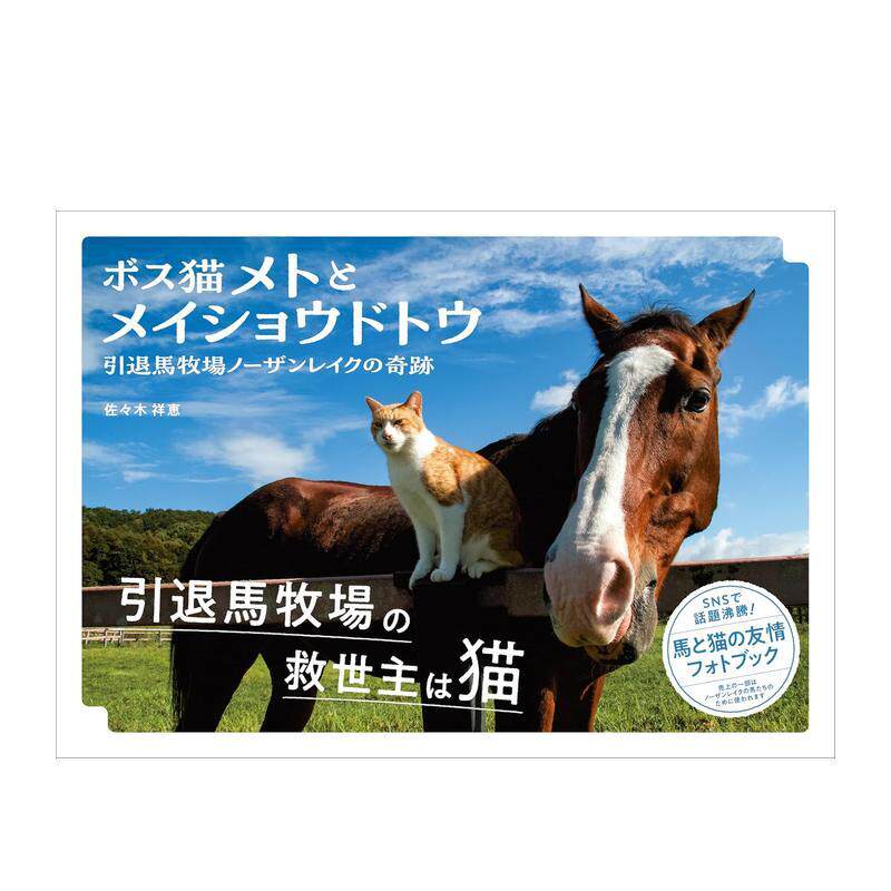 【现货】猫与马的趣事 ボス猫メトと メイショウドトウ 原版日文摄影作品集