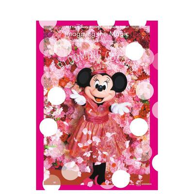 【现货】 东京迪斯尼×蜷川实花 合作摄影集 Tokyo　Disney　Resort　Photography　Project 日文原版图书籍进口正版 摄影作品集