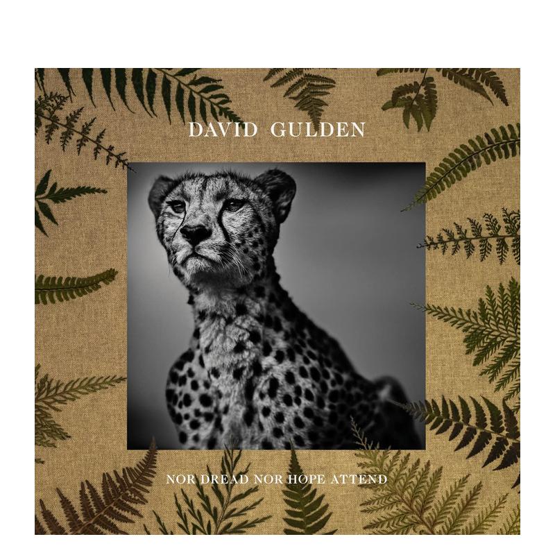 David Gulden：无惧