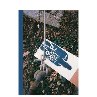 请发送给现实生活：雷·约翰逊 现货 SEND Smith 摄影师专辑 Joel REAL PLEASE 英文原版 照片 LIFE ed. 图书籍进口正版