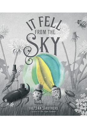 【现货】 It Fell From The Sky，从天而降 儿童艺术启蒙益智故事绘本 英文原版图书籍进口正版 来自天空的你 Terry Fan