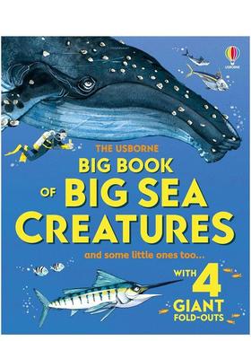 【现货】深海巨兽之书 【Big Books】Big Book of Big Sea Creatures 海洋科普 英文进口原版儿童百科绘本图书Minna Lacey