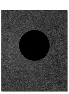 【预售】Terminus，终点站 英文原版图书籍进口正版 John Divola 艺术摄影作品集 MACK