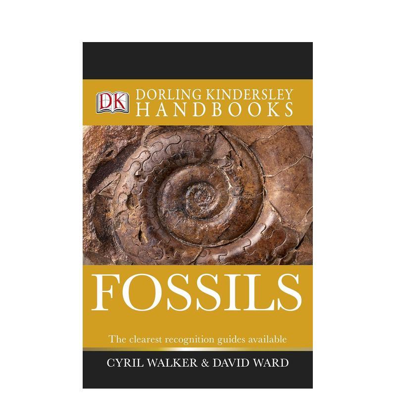 【预售】化石（DK史密森尼学会科普书籍） Fossils (DK Smithsonian Handbook) 英文进口原版社会科学图书DK (US)