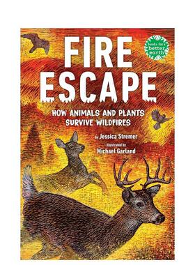 【预售】火灾逃生：动植物如何在野火中生存 Fire Escape: How Animals and Plants Survive Wildfires英文进口原版儿童绘本图书H