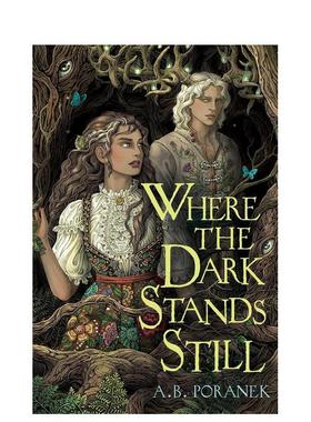 【预售】黑暗静止的地方Where the Dark Stands Still英文青少年读物进口原版儿童图书A. B. Poranek