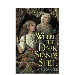 Stands Poranek 黑暗静止 儿童图书A. Still英文青少年读物进口原版 Dark the 地方Where 预售