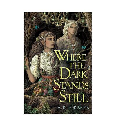 【现货】黑暗静止的地方Where the Dark Stands Still英文青少年读物进口原版儿童图书A. B. Poranek