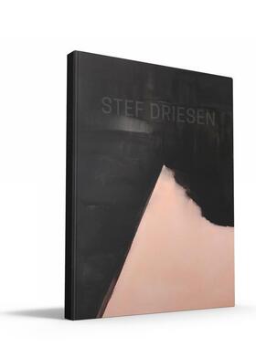 【现货】斯黛弗德里森 Stef Driesen 英文进口原版艺术画册画集Luster