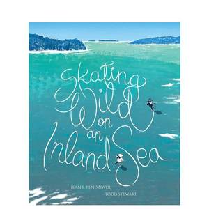 SkatingWildonanInlandSea