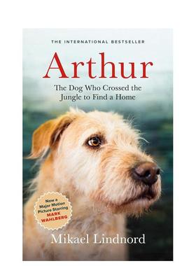 【预售】亚瑟：穿越丛林寻家狗 The Dog 预售o Crossed the Jungle to Find a Home 英文进口原版文学小说图书