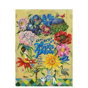 大自然 Power 现货 力量 Healers英文进口原版 6岁艺术启蒙Chris Nature’s 治疗者 花 Magic The 魔力Flower 儿童图书3