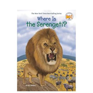 THE SERENGETI?英文进口原版 9岁MEDINA 塞伦盖蒂平原在哪里?WHERE 章节书儿童图书籍6 NICO 现货