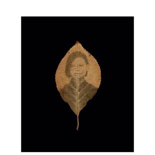 【预售】归属之谜Binh Danh: The Enigma of Belonging英文进口原版摄影集外文图书集 外版进口图书