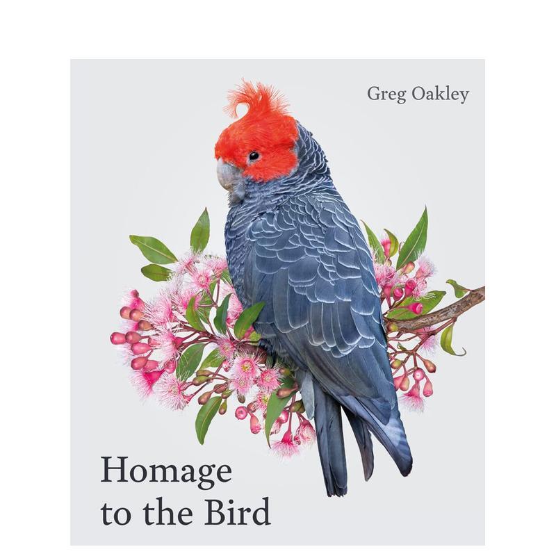 【预售】飞鸟礼赞 Homage to the Bird 英文进口原版艺术画册画集外文图书Greg Oakley