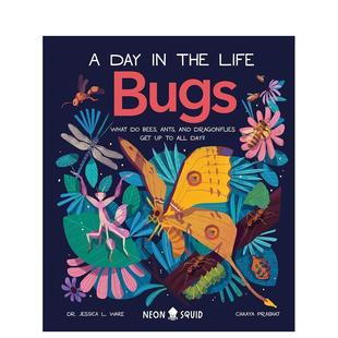 一天 Ware百科 the 预售 动物 Life 虫子 儿童绘本图书Dr.Jessica Day Bugs英文进口原版