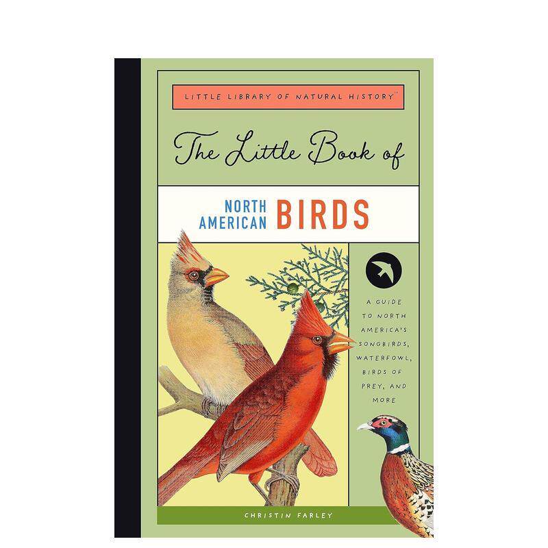 【自然历史小小图书馆】北美鸟类