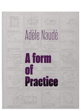 【预售】阿黛尔·诺黛:实践形式 Adèle Naudé: A Form of Practice英文建筑风格与材料构造原版图书外版进口书籍NAUDE