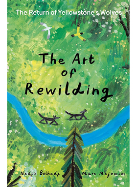 【现货】The Art of Rewilding，【手风琴折页书】再野化的艺术：黄石公园狼群的回归 英文原版图书籍进口正版 Belhadj 儿童绘本
