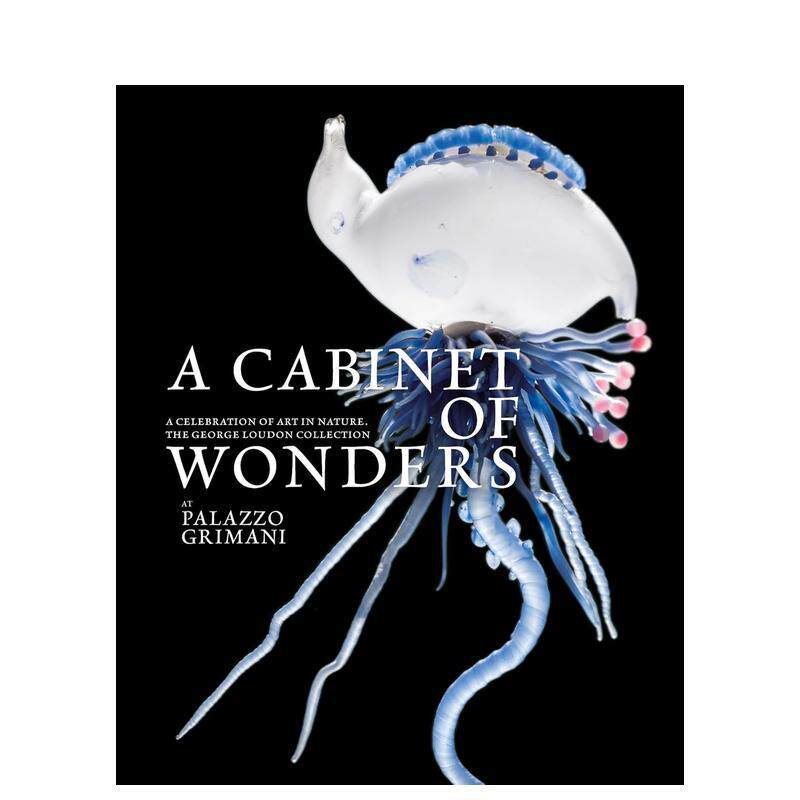 【现货】自然奇观艺术柜：天地大美集珍 A Cabinet Of Wonders A Celebration Of Art In Nature At The英文进口原版艺术画册画集