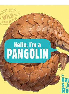 【预售】【遇见野趣】穿山甲【Meet the Wild Things】Hello, I'm a Pangolin英文进口原版儿童绘本图书ROCCO  HAYLEY