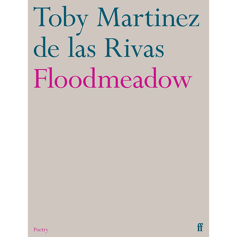 【预售】【翰德图书】Floodmeadow,洪水草地英文原版图书籍进口正版 Toby Martinez de las Rivas诗歌