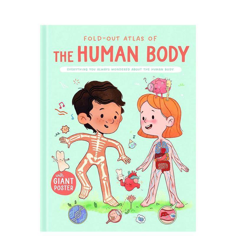 人体的奇妙之旅 Fold-Ou