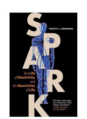 【预售】Spark火花：论电的价值 英文进口原版人文社科图书 Timothy J. Jorgensen