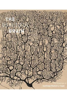 【预售】美丽的大脑：圣地亚哥·拉蒙 - 卡哈尔图纸 The Beautiful Brain: The Drawings of Santiago Ramon y Cajal英文艺术原版