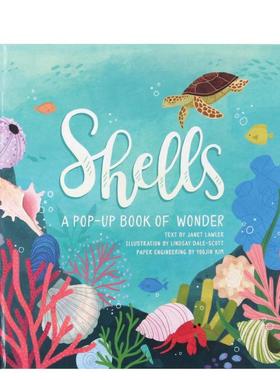【预售】Shells: A Summer Pop-Up Book，【四季立体书】贝壳：夏日 英文进口原版儿童立体图书 Janet Lawler Jumping Jack Press
