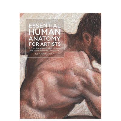 【预售】给艺术家的基础人体解剖学 【For Artists】Essential Human Anatomy for Artists 英文进口原版艺术画册画集外文图书籍