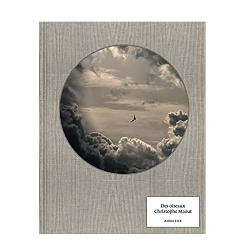 【现货】【Christophe Maout】鸟类 Des Oiseaux Christophe Maout 法文原版进口摄影作品集