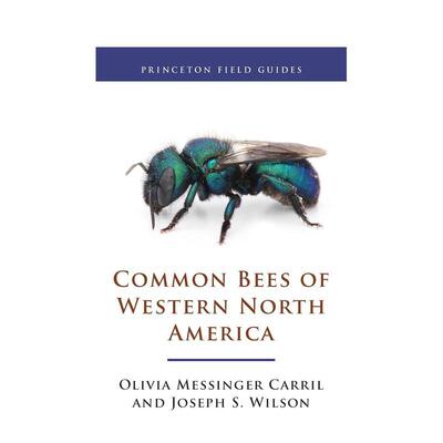 【预售】Common Bees of Western North America北美西部常见的蜜蜂 英文进口原版人文社科图书 Olivia Messinger Carril  and Jo