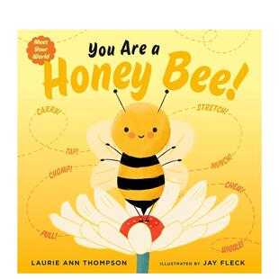英文进口原版 现货 Are Books 动物生态环保 Penguin Honey 你是一只蜜蜂You 儿童绘本图书 Bee 6岁