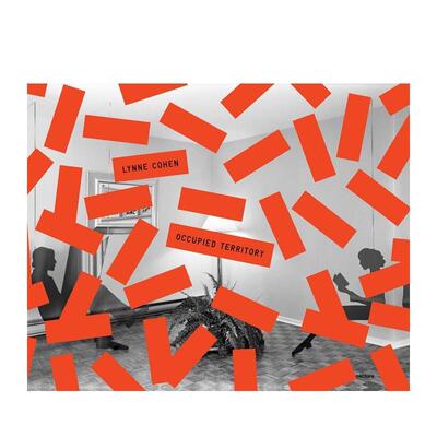 【预售】林恩·科恩:被占领的领土 Lynne Cohen: Occupied Territory 英文进口原版摄影作品集Lynne Cohen