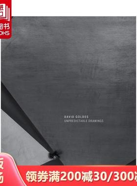 【预售】不可预测的图画 David Goldes: Unpredictable Drawings 英文艺术家 工作室 原版图书外版进口书籍 David Goldes, Pavel