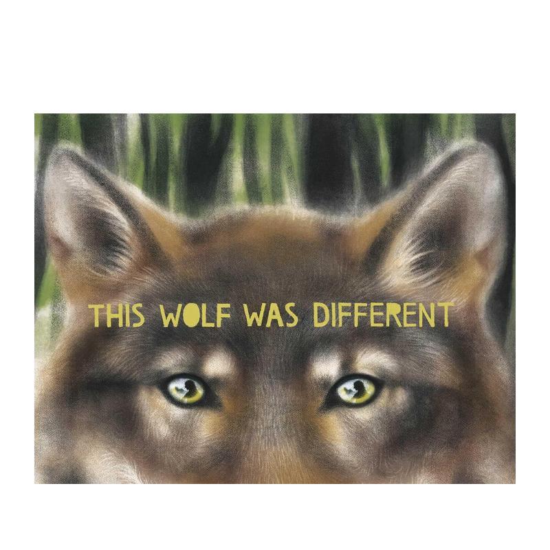 与众不同的狼 This Wol