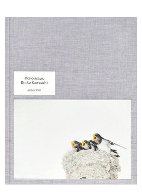 【现货】川内伦子摄影集 鸟类Des oiseaux 英文原版 进口作品集写真集 Rinko Kawauchi