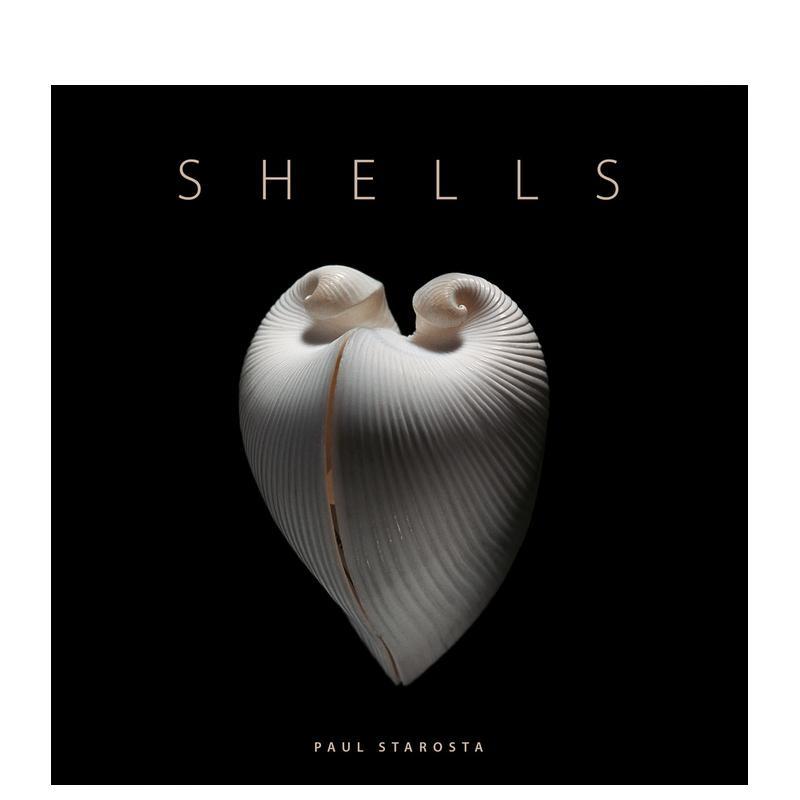 贝壳 Shells 原版英文社