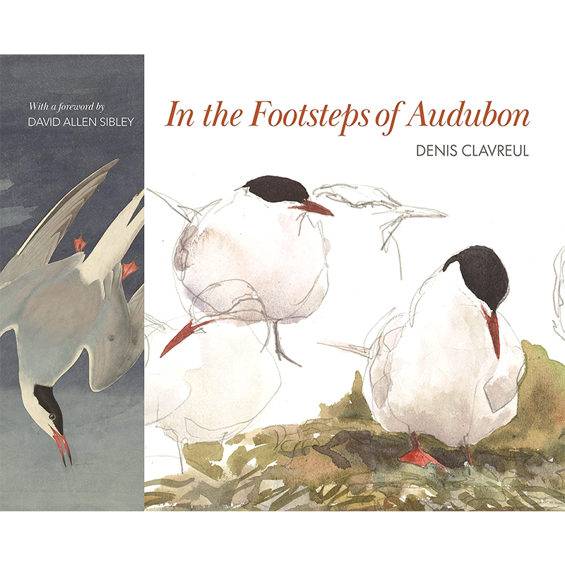 【现货】In the Footsteps of Audubon，追随奥杜邦的脚步 英文原版图书籍进口正版 John James Audubon, Denis Clavreul