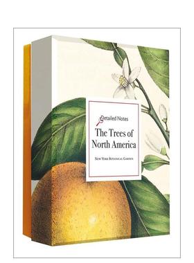 【预售】北美树木 详解笔记卡套装 The Trees of North America Detailed Notecard Set 英文进口原版艺术插画原画设定集Abbevill