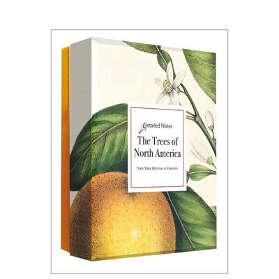 【预售】北美树木 详解笔记卡套装 The Trees of North America Detailed Notecard Set 英文进口原版艺术插画原画设定集Abbevill