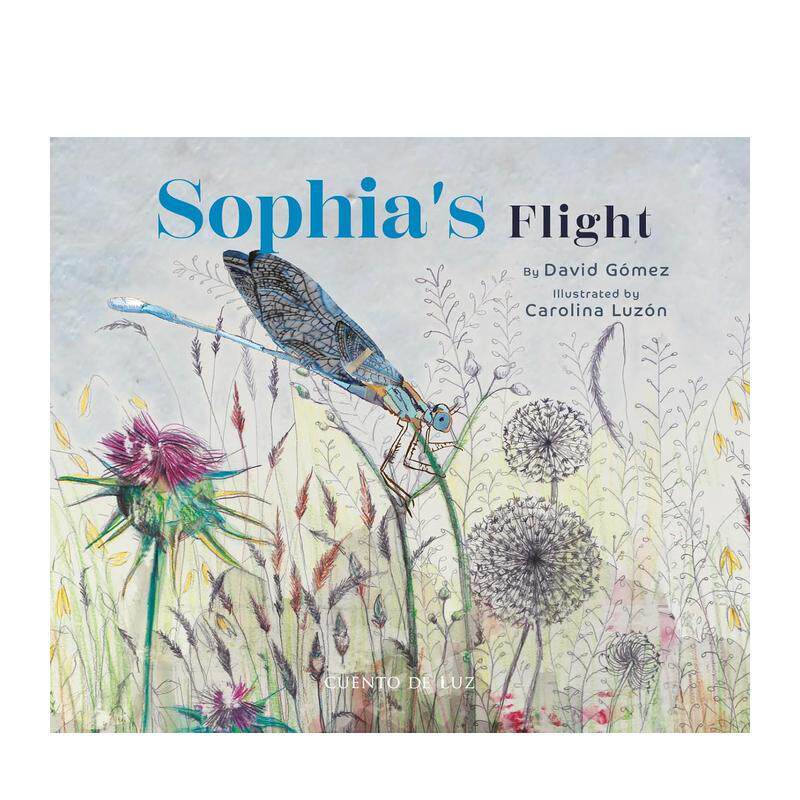 索菲亚的飞行 Sophia's