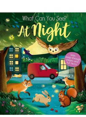 【现货】【你能看到什么】夜晚 洞洞书What Can You See? At Night英文进口原版儿童趣味图书3-6岁Kate Ware  María Perera