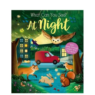 洞洞书What See? 现货 夜晚 Ware Perera 6岁Kate Can 你能看到什么 Night英文进口原版 You María 儿童趣味图书3